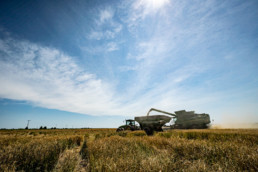 Farm machinery working on harvest