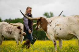 Woman tending to her cattle